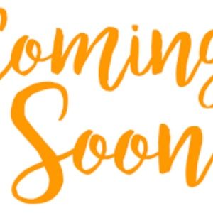 Pickwick & Weller Grey Top